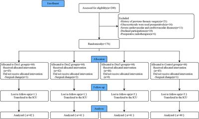 Effect of dexmedetomidine on postoperative nausea and vomiting in female patients undergoing radical thoracoscopic lung cancer resection